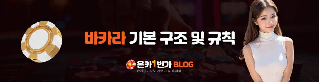 바카라 기본 구조 및 규칙