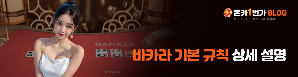 바카라 기본 규칙 상세 설명